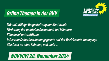 Grüne Themen in der Bezirksverordnetenversammlung Charlottenburg-Wilmersdorf am 28.11.2024