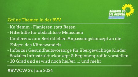 Grüne Themen in der Bezirksverordnetenversammlung Charlottenburg-Wilmersdorf am 27.6.2024