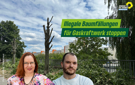 Illegale Baumfällungen am Spreeufer. Sibylle Centgraf, Sebastian Weise