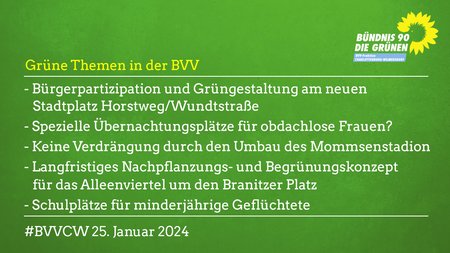 Grüne Themen in der BVV Charlottenburg-Wilmersdorf am 25.1.24