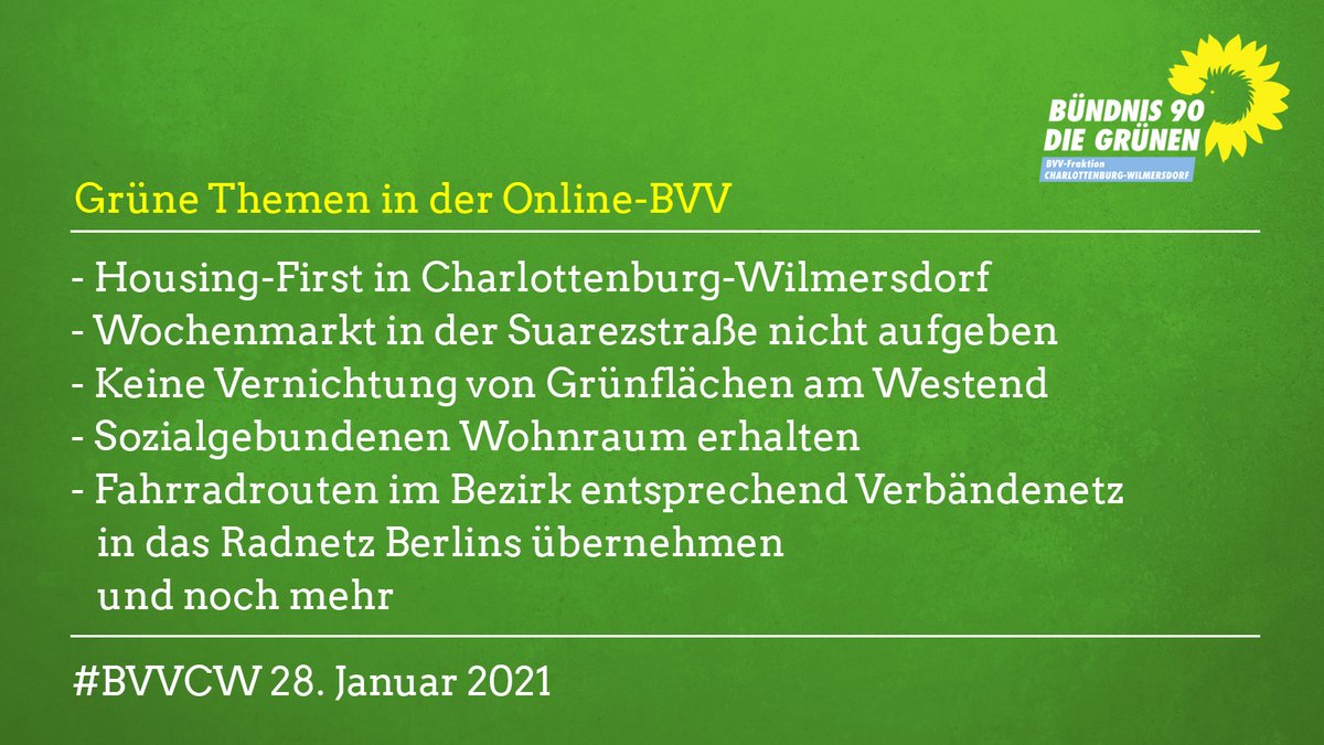 Grüne Themen in der BVV am 28.1.21